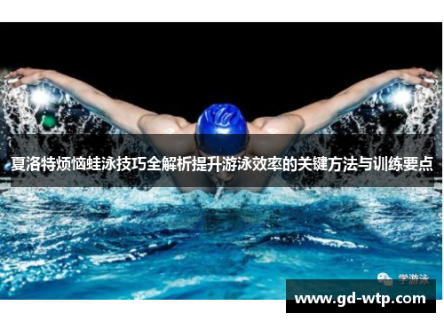 夏洛特烦恼蛙泳技巧全解析提升游泳效率的关键方法与训练要点