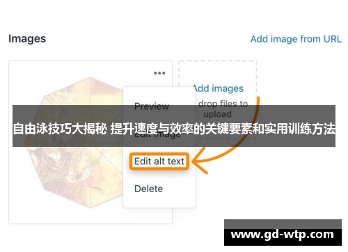 自由泳技巧大揭秘 提升速度与效率的关键要素和实用训练方法