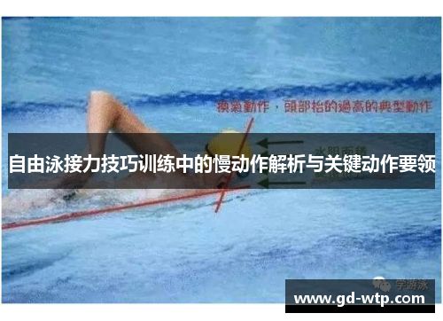 自由泳接力技巧训练中的慢动作解析与关键动作要领