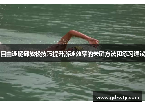 自由泳腿部放松技巧提升游泳效率的关键方法和练习建议