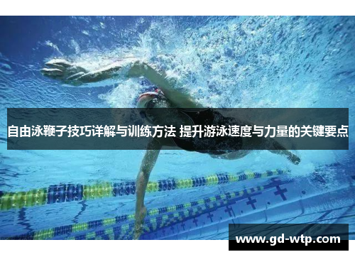 自由泳鞭子技巧详解与训练方法 提升游泳速度与力量的关键要点